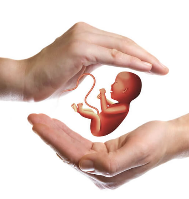 Infertilità maschile e femminile - Alimentazione